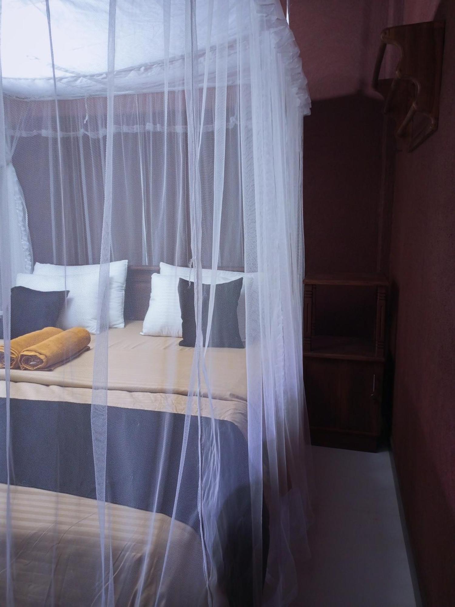 エッラ Creek Downhills Bed & Breakfast エクステリア 写真