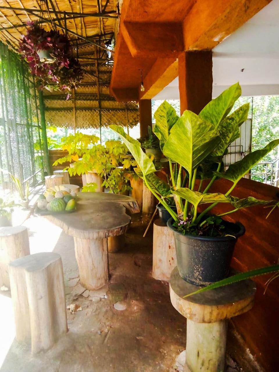 エッラ Creek Downhills Bed & Breakfast エクステリア 写真