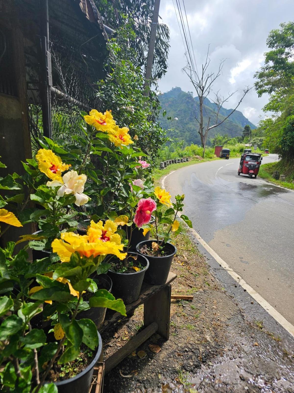 エッラ Creek Downhills Bed & Breakfast エクステリア 写真