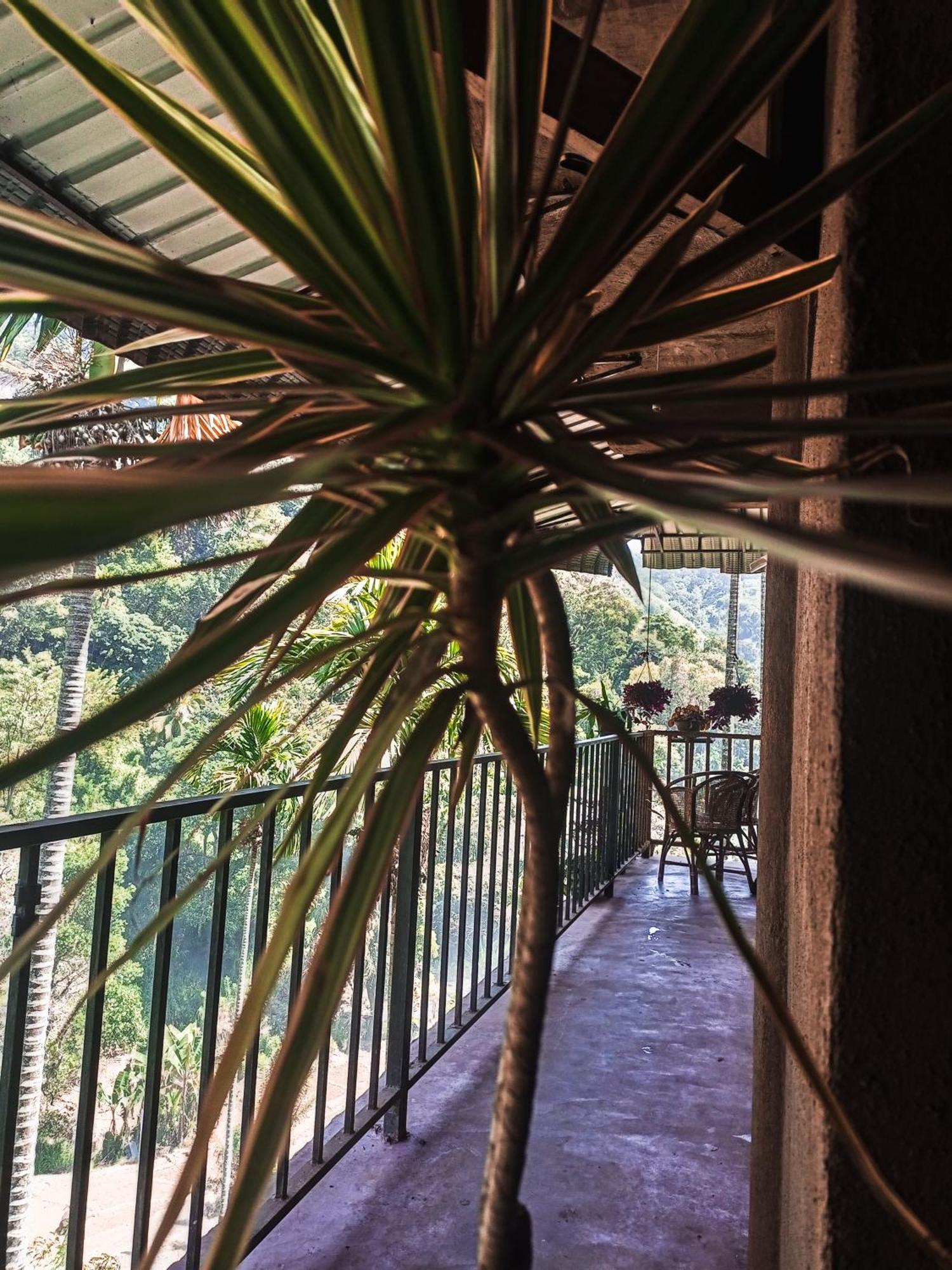 エッラ Creek Downhills Bed & Breakfast エクステリア 写真